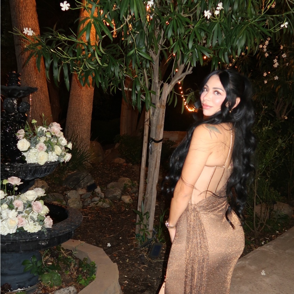 JLUXLABEL Shimmering Bronze Backless Dress